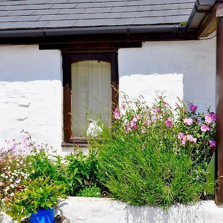 Stunning Annexe 1 Luxury Bedroom, Eating Area & Bathroom Only! Truro Eksteriør bilde