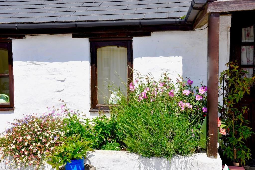 Stunning Annexe 1 Luxury Bedroom, Eating Area & Bathroom Only! Truro Eksteriør bilde