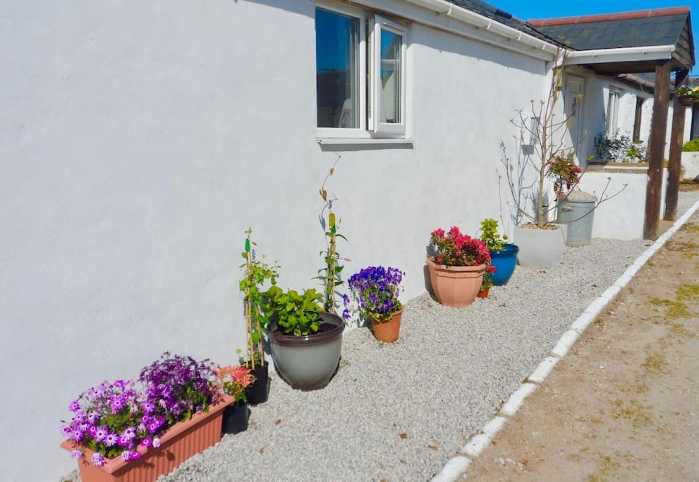 Stunning Annexe 1 Luxury Bedroom, Eating Area & Bathroom Only! Truro Eksteriør bilde